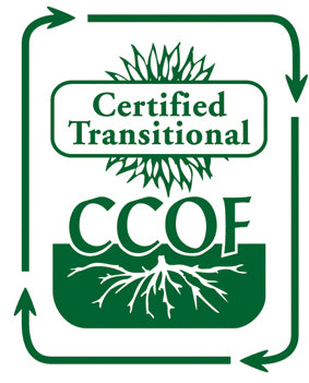 CCOF "Certified Transitional" Stickers