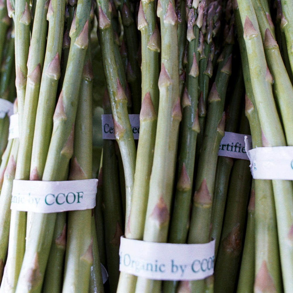 "Certified Organic by CCOF" Twist Ties